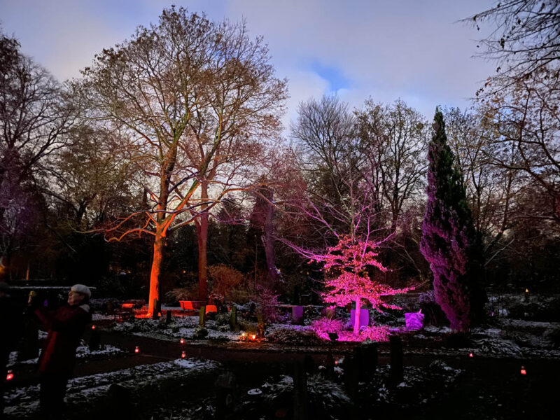 Memoriam-Garten Steglitz - Berlin leuchtet 11