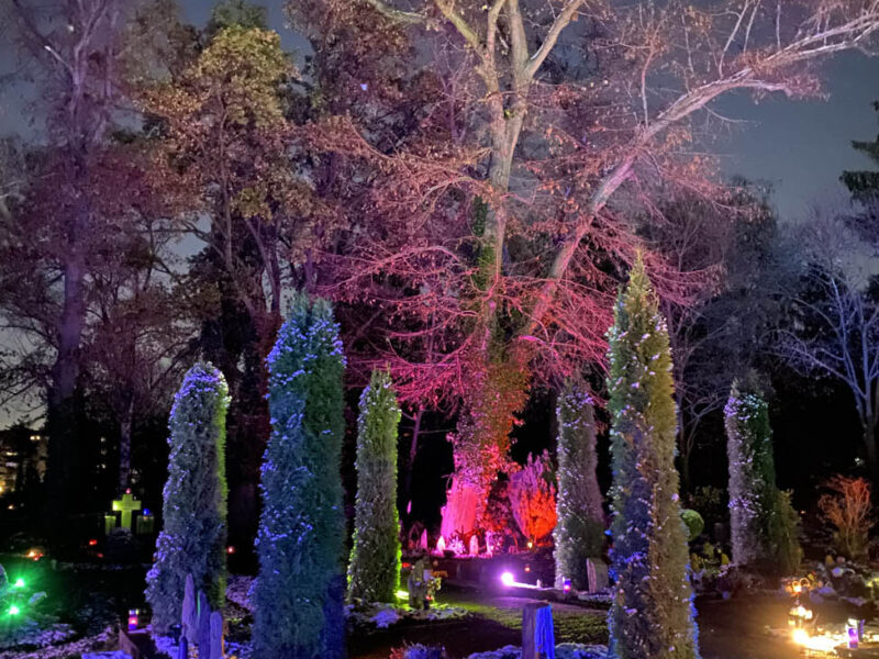 Memoriam-Garten Steglitz - Berlin leuchtet 03