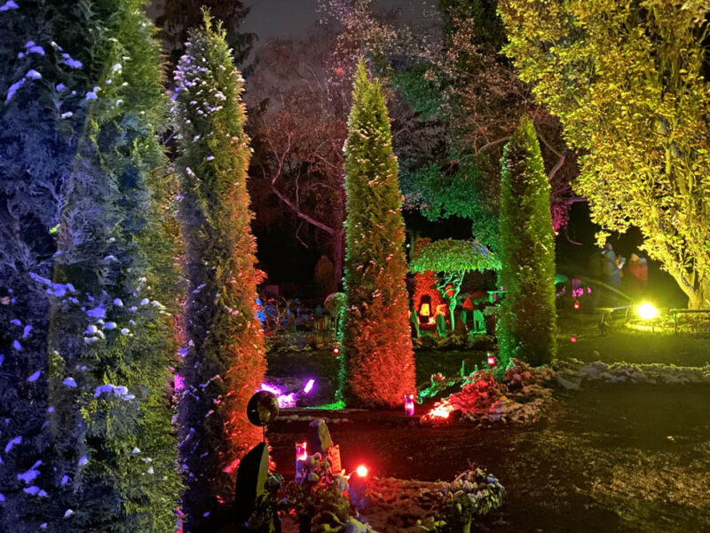 Memoriam-Garten Steglitz - Berlin leuchtet 02