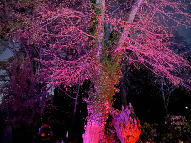 Memoriam-Garten Steglitz - Berlin leuchtet 18