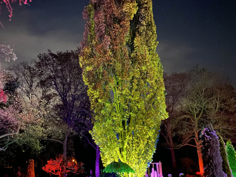 Memoriam-Garten Steglitz - Berlin leuchtet 16