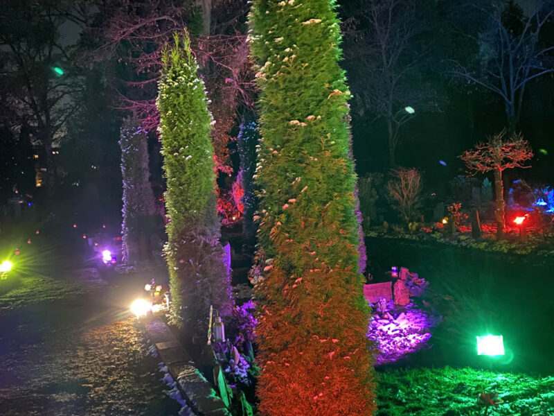 Memoriam-Garten Steglitz - Berlin leuchtet 14