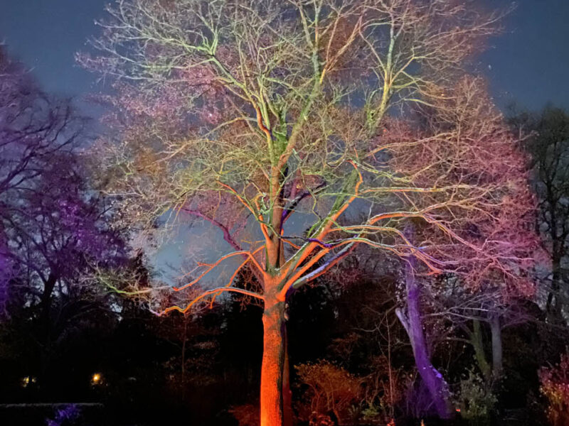 Memoriam-Garten Steglitz - Berlin leuchtet 12